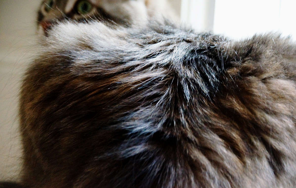 ����� ����� �������  �� PhotoGeek.ru #�������� ���