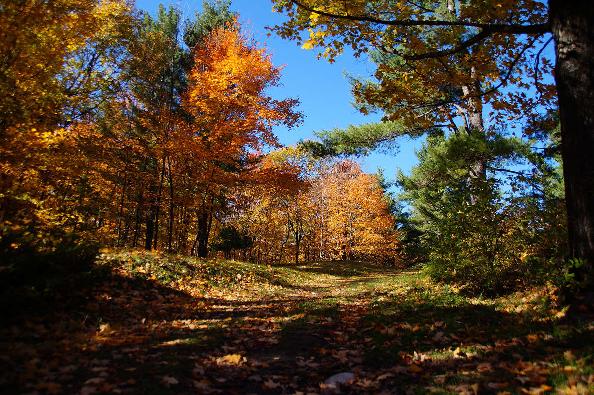 ���� � �������� ����� ����� �������  �� PhotoGeek.ru #������ ��� ������� #�������� ����������