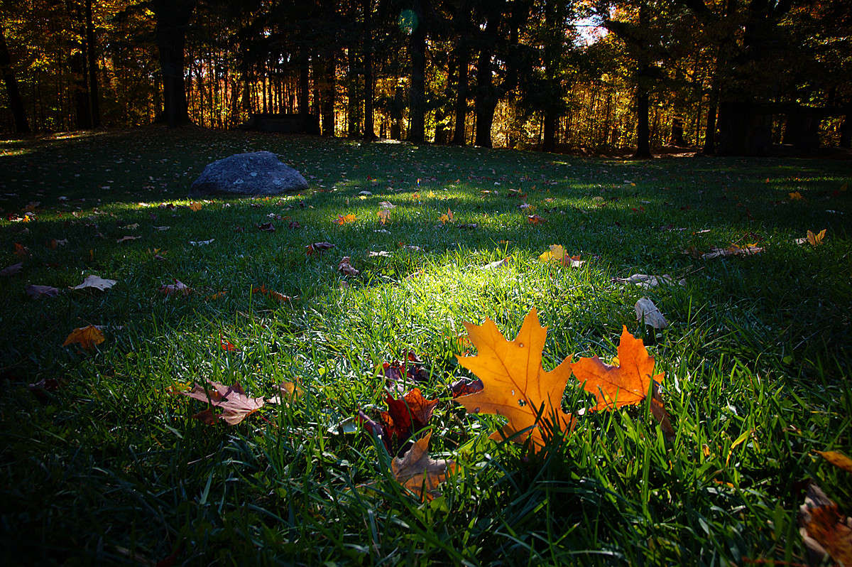 ����� ������� ����� �������  �� PhotoGeek.ru #������ ��� �������