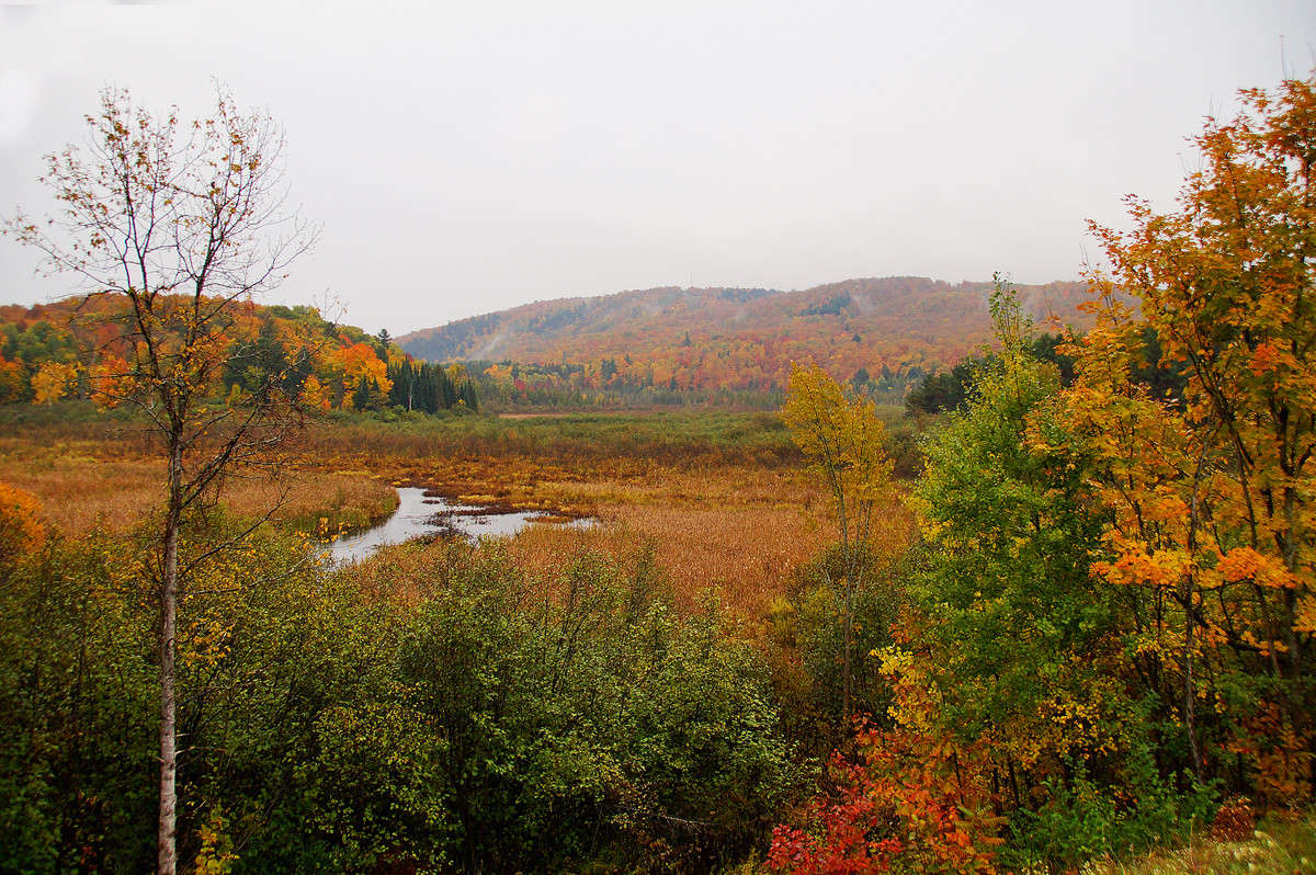 �������� � ���� ����� �������  �� PhotoGeek.ru #������ ��� �������