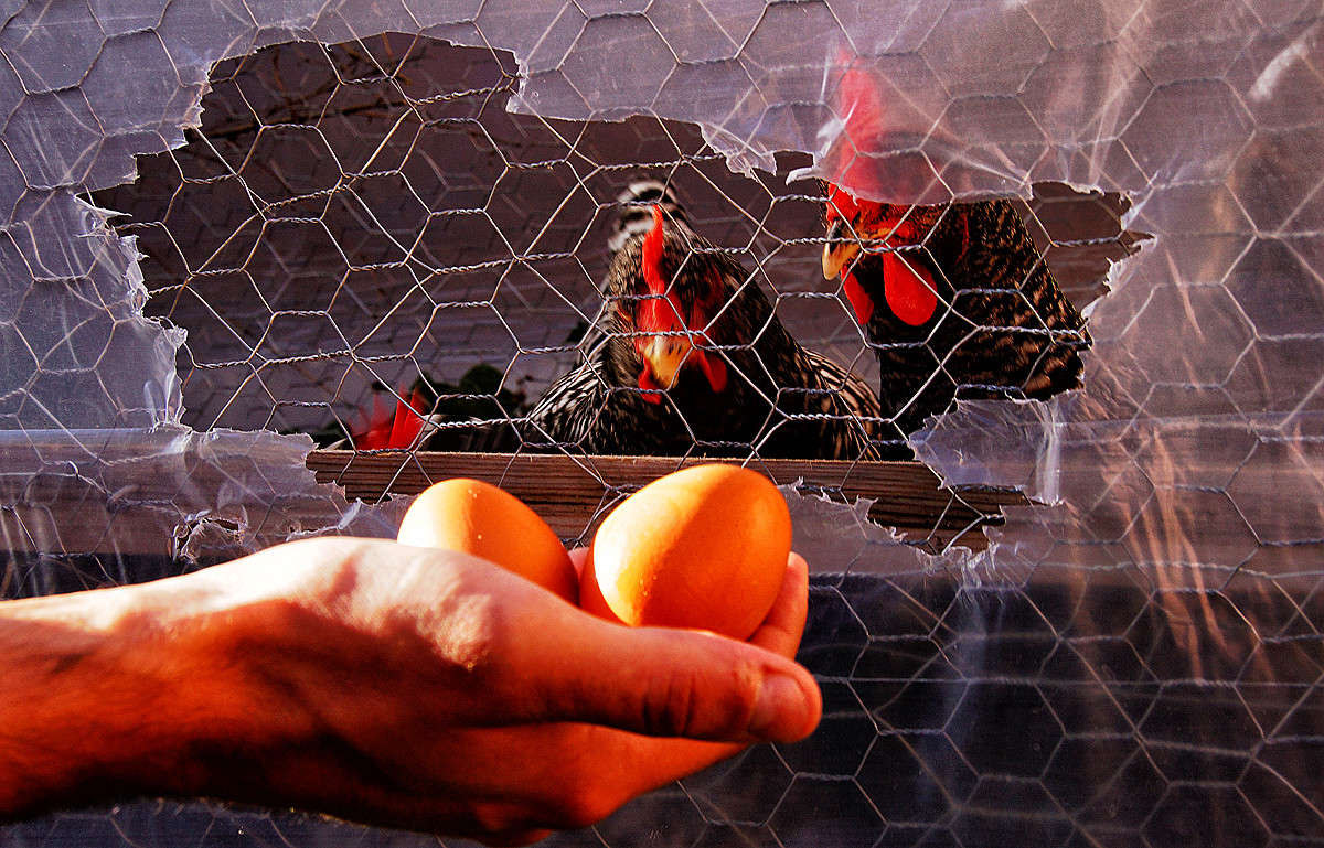 ������ ������ - ��� ������? ����� �������  �� PhotoGeek.ru #�������� ��� #�������� ����������