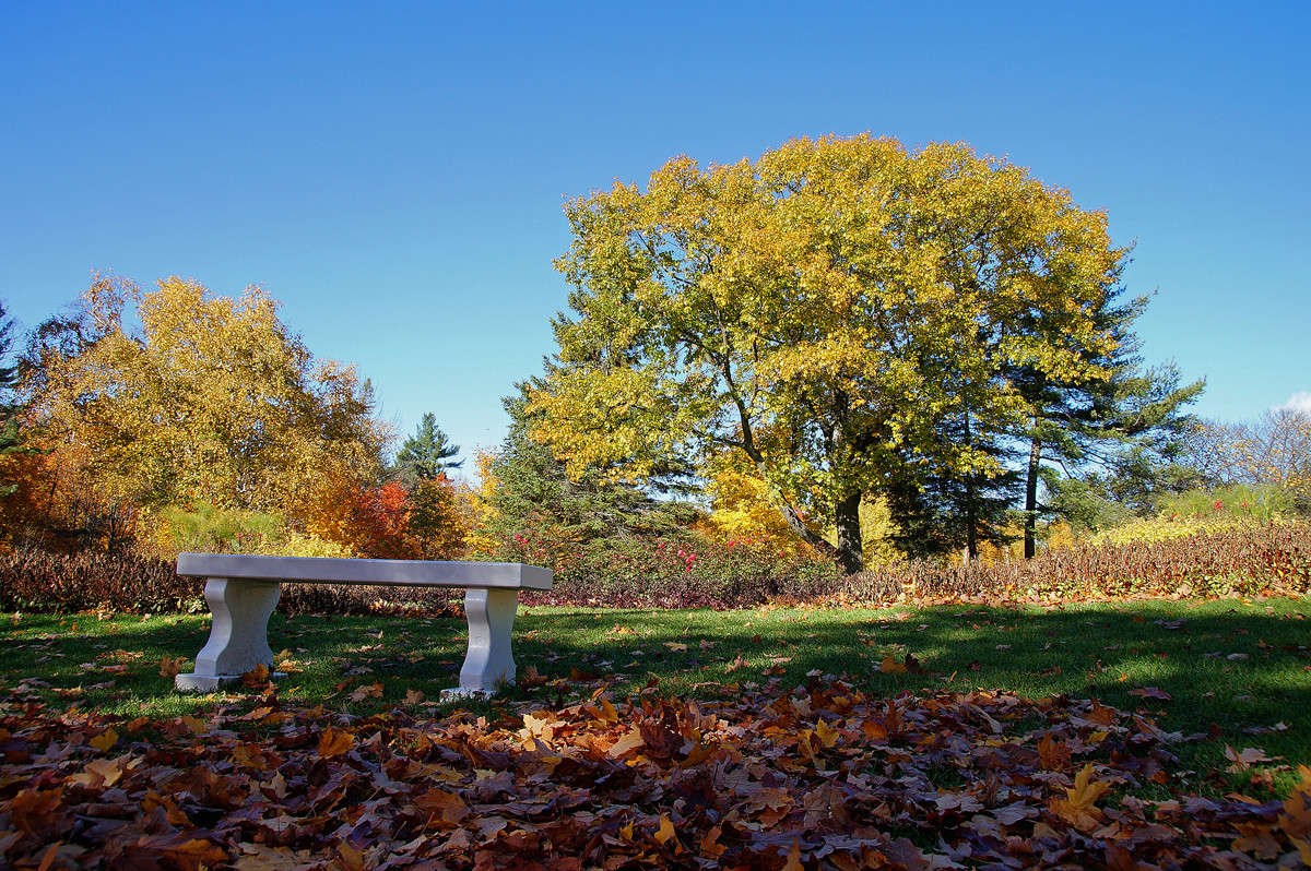 ����� ����������� ����� �������  �� PhotoGeek.ru #������ ��� �������