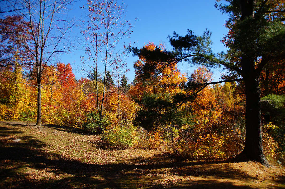 � ������ ��������� ����� �������  �� PhotoGeek.ru #������ ��� �������