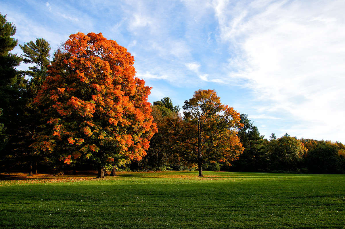 �������� ����� �������  �� PhotoGeek.ru #������ ��� �������