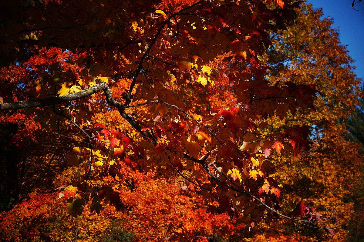 ���� ��������� ����� �������  �� PhotoGeek.ru #������ ��� �������