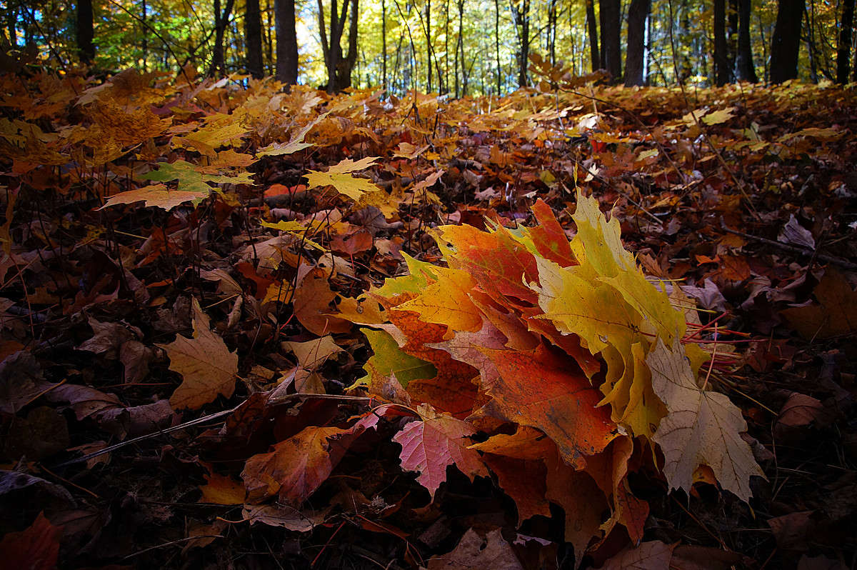 �������������� ����� ����� �������  �� PhotoGeek.ru #������ ��� �������