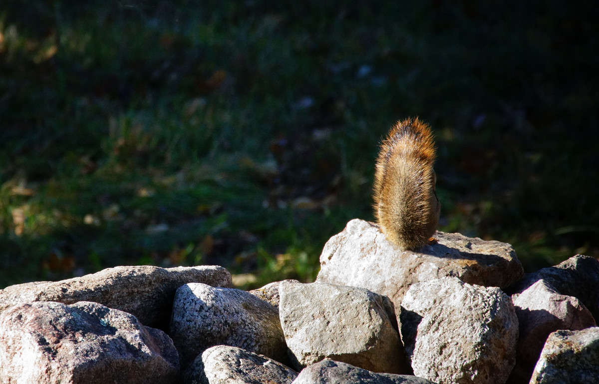 ���� ��������������� ����� �������  �� PhotoGeek.ru #�������� ��� #������ ��� �������