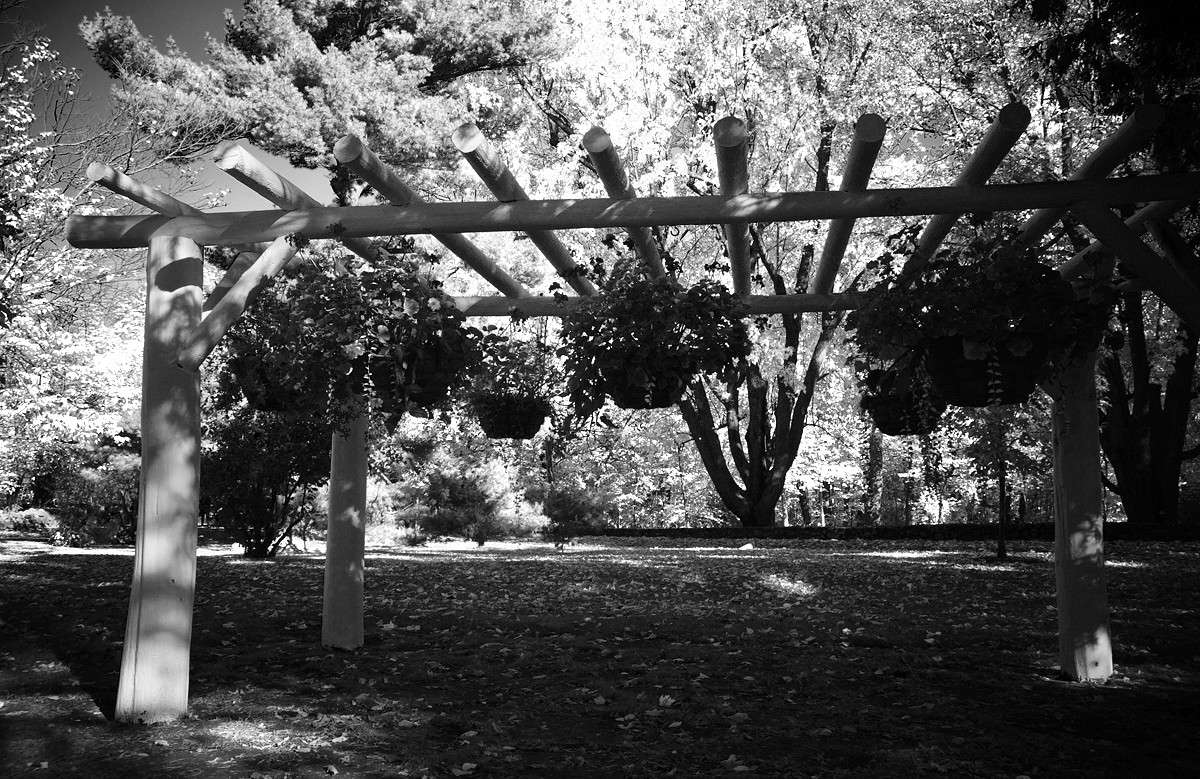 ������ ���� ����� �������  �� PhotoGeek.ru #������ ��� �������