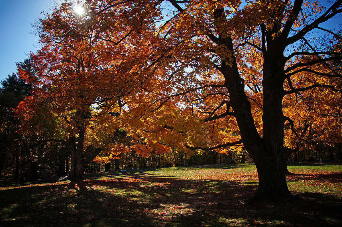 ��������� ������� ����� �������  �� PhotoGeek.ru #������ ��� �������