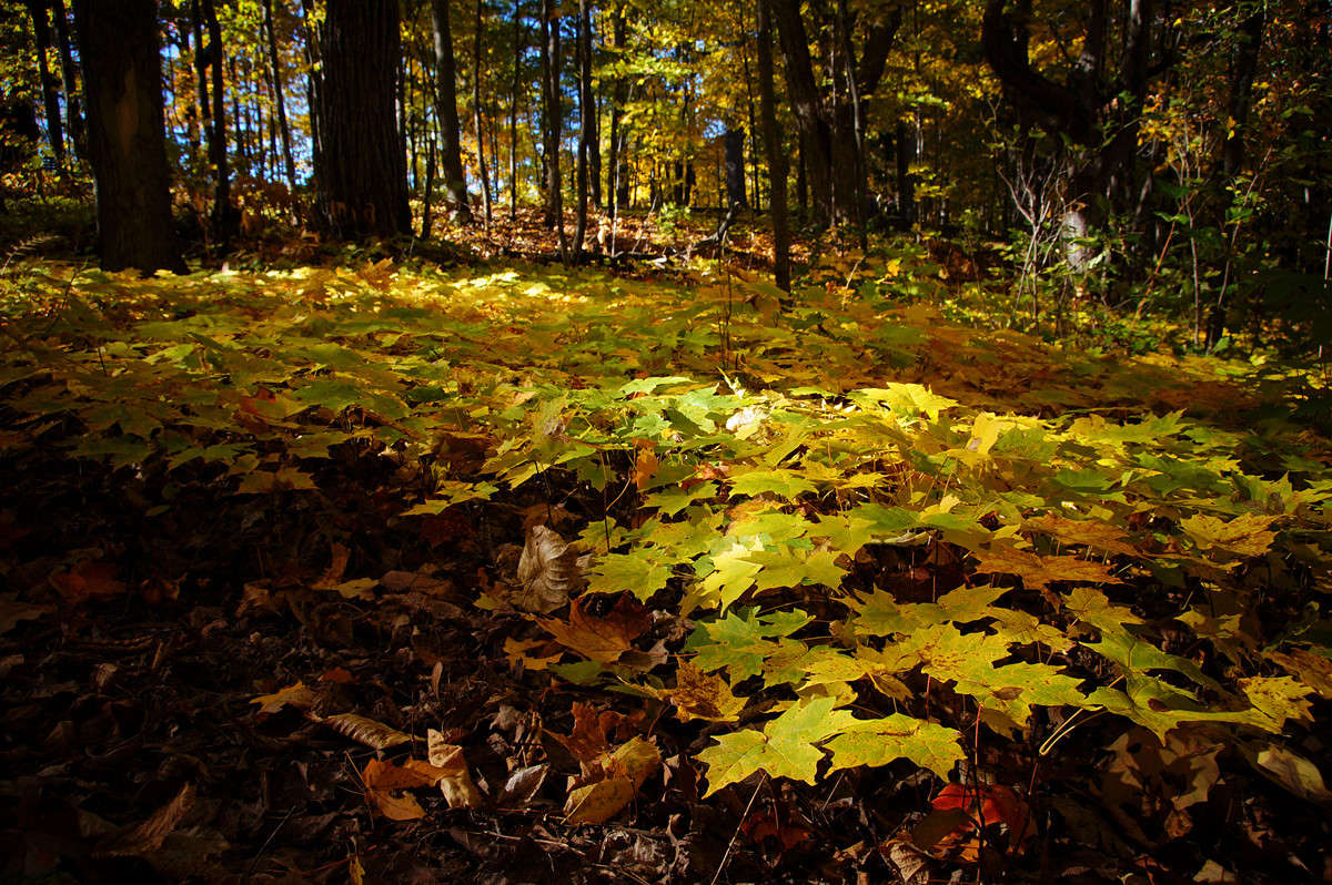 �������� ������� ����� �������  �� PhotoGeek.ru #������ ��� �������