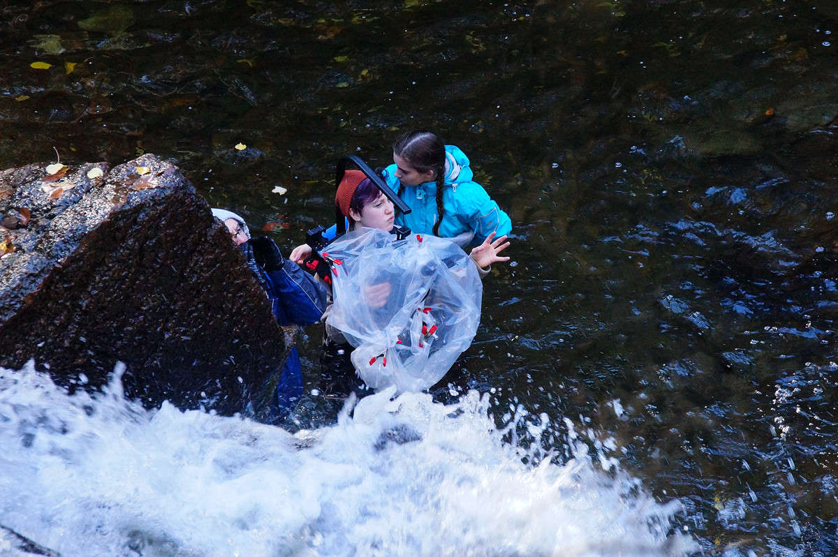 ������������� ���� ����� �������  �� PhotoGeek.ru #�������� ����������