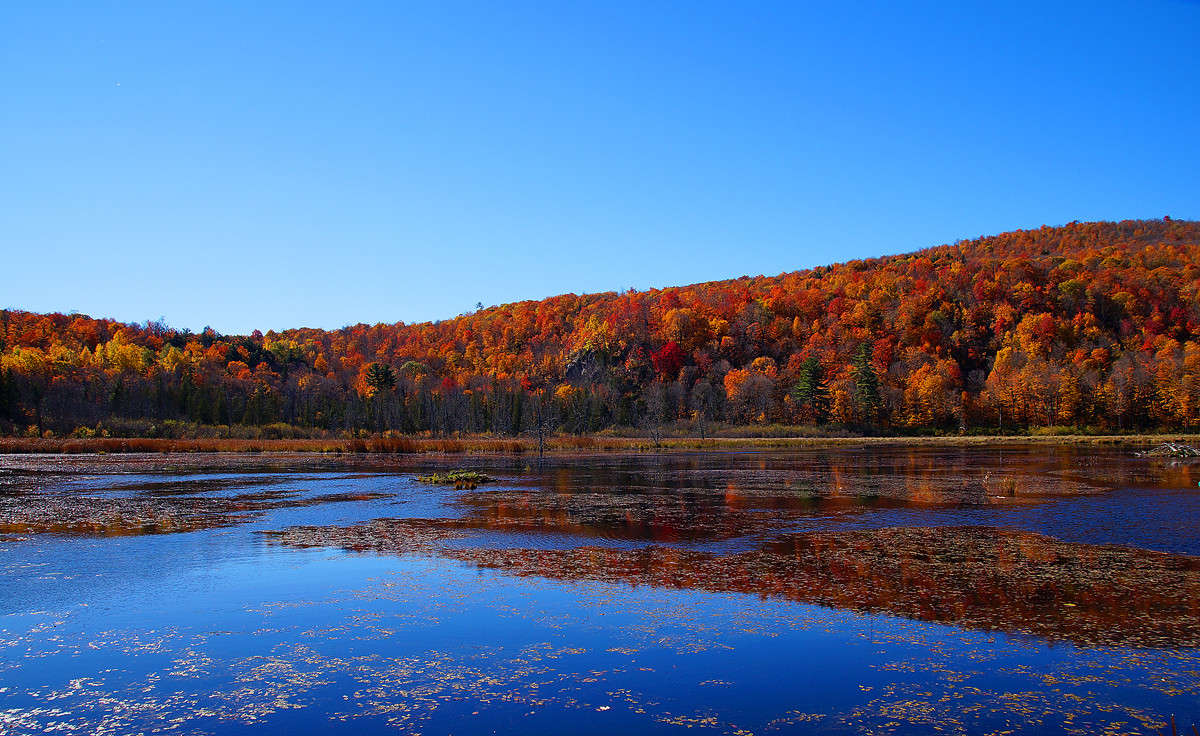 ���� �������� ����� �������  �� PhotoGeek.ru #������ ��� �������