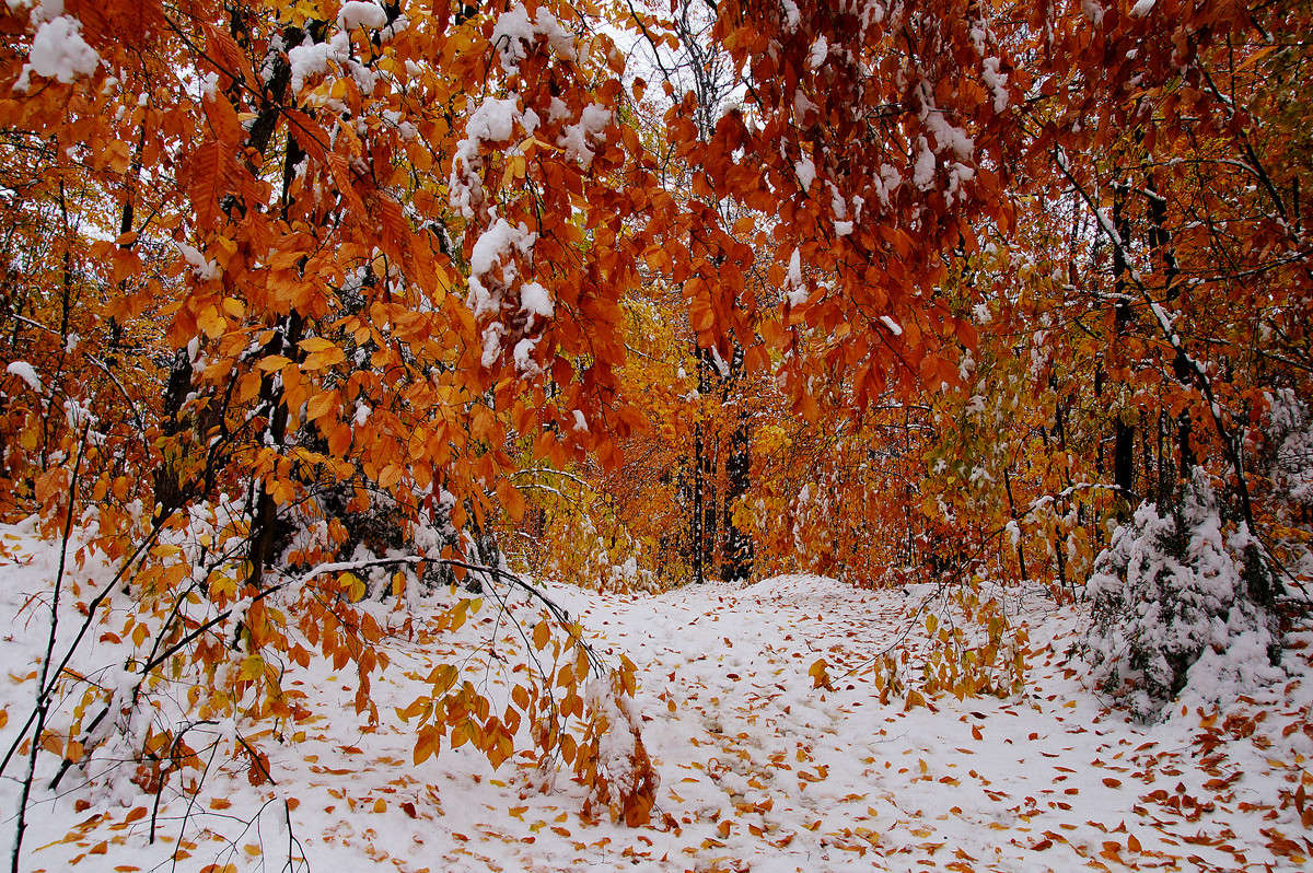 ������� ����� �������  �� PhotoGeek.ru #������ ��� �������