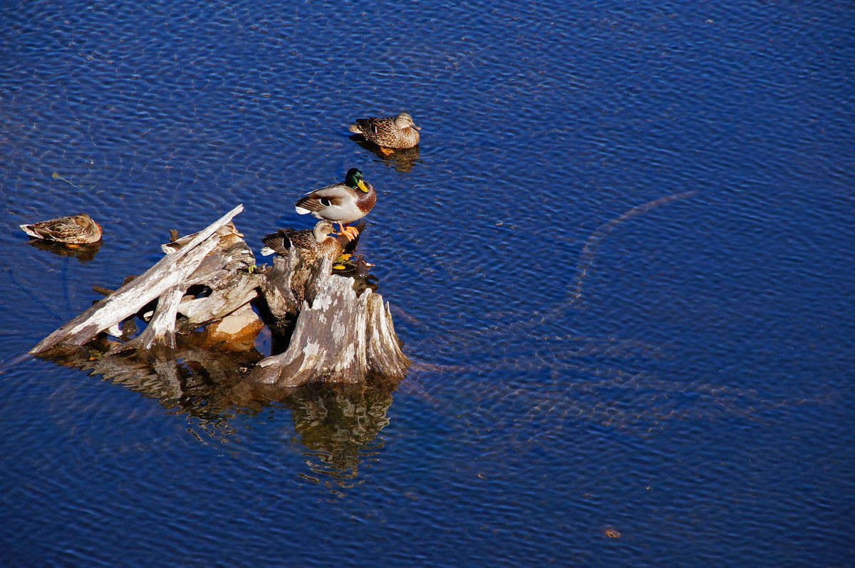 �� ������ ������ ����� �������  �� PhotoGeek.ru #�������� ���