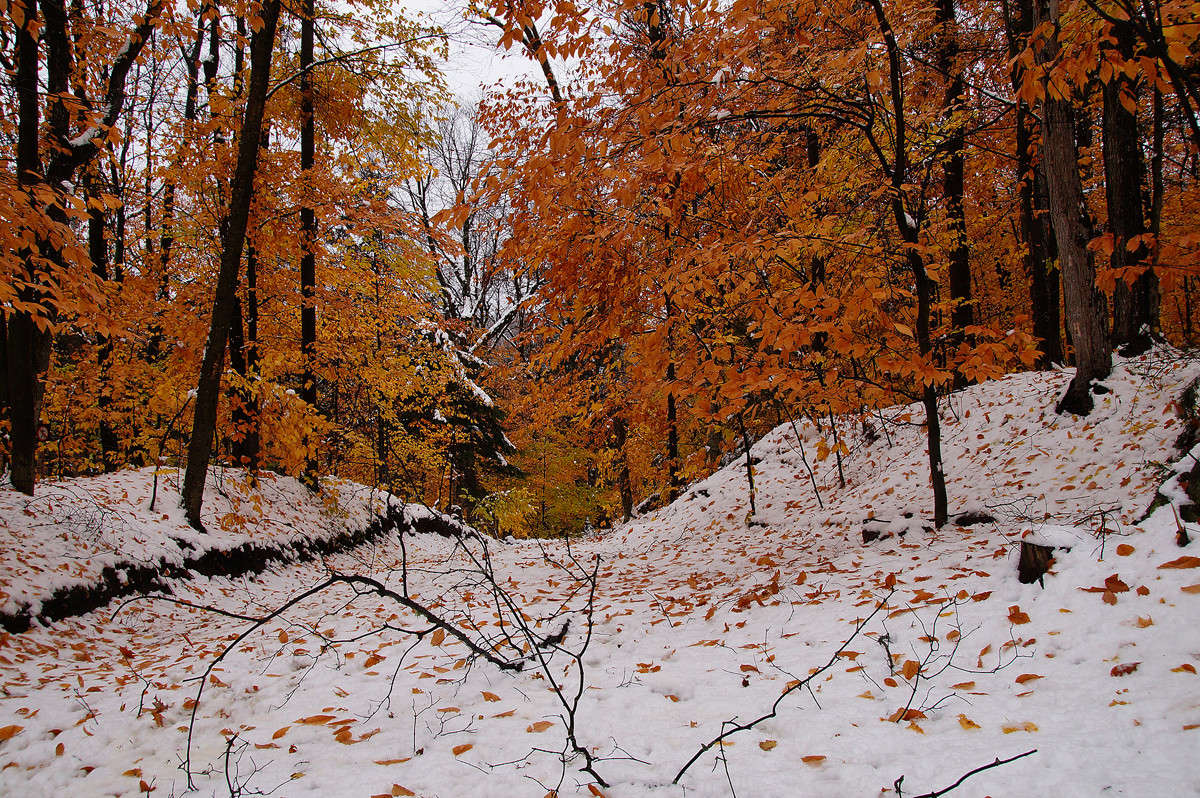 ���������� ������ ����� �������  �� PhotoGeek.ru #������ ��� �������