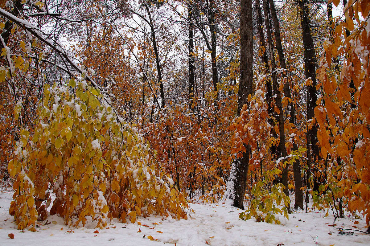 ���������� ����� �������  �� PhotoGeek.ru #������ ��� �������