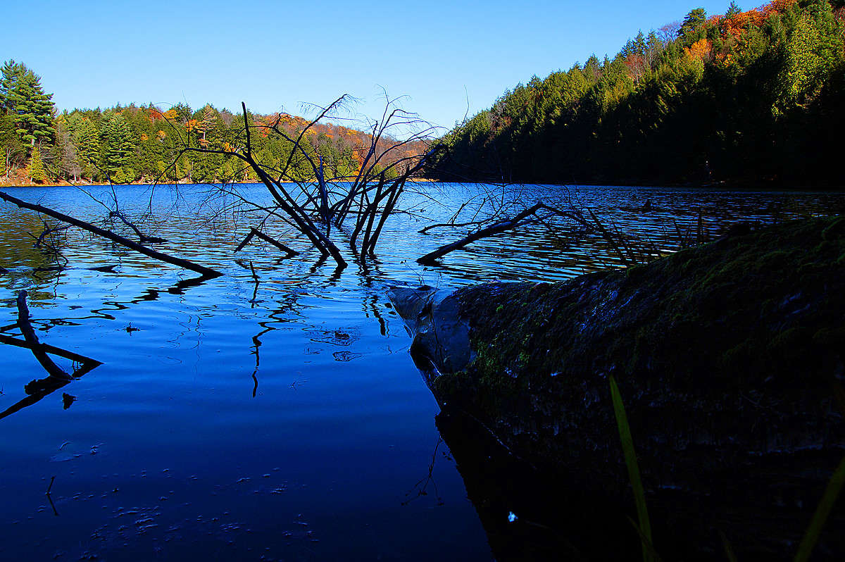 �������� ����� ������ ����� �������  �� PhotoGeek.ru #������ ��� �������