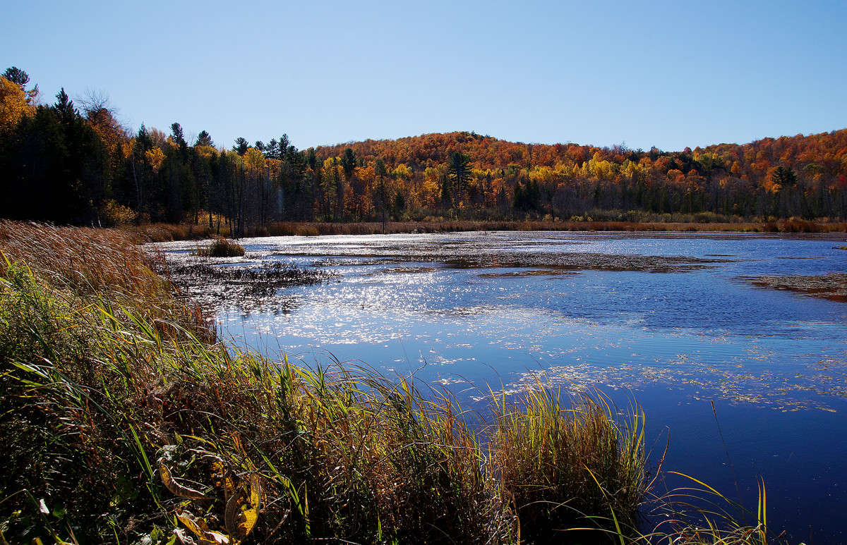 ��� ����� ������� ������� ����� �������  �� PhotoGeek.ru #������ ��� �������