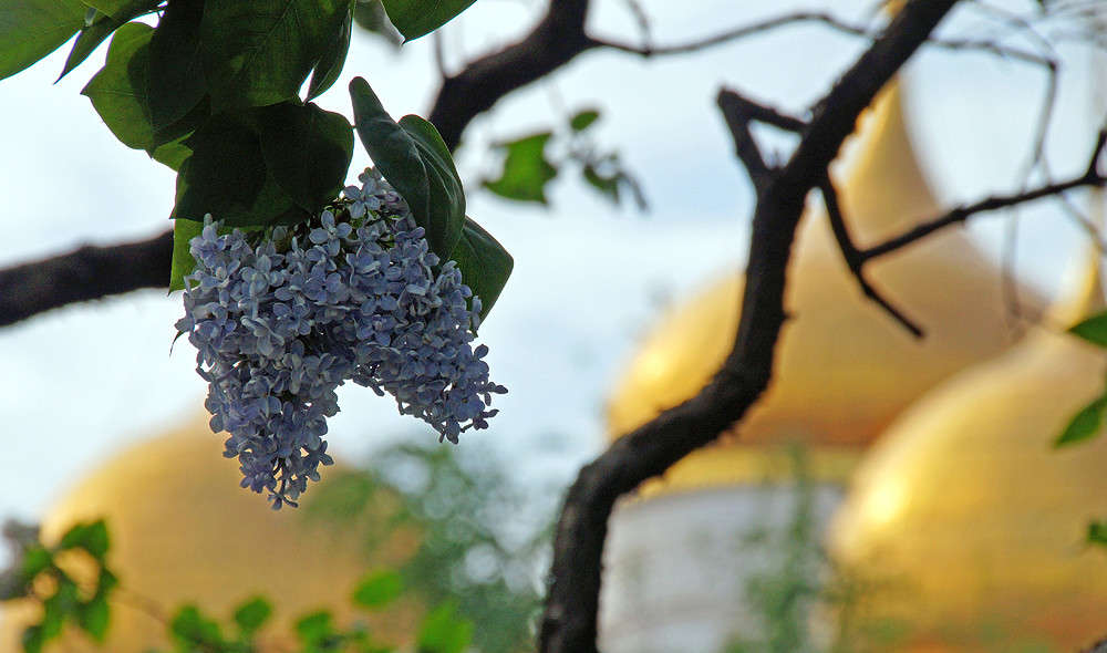 ��� ��� ������ �������? ����� �������  �� PhotoGeek.ru #�����