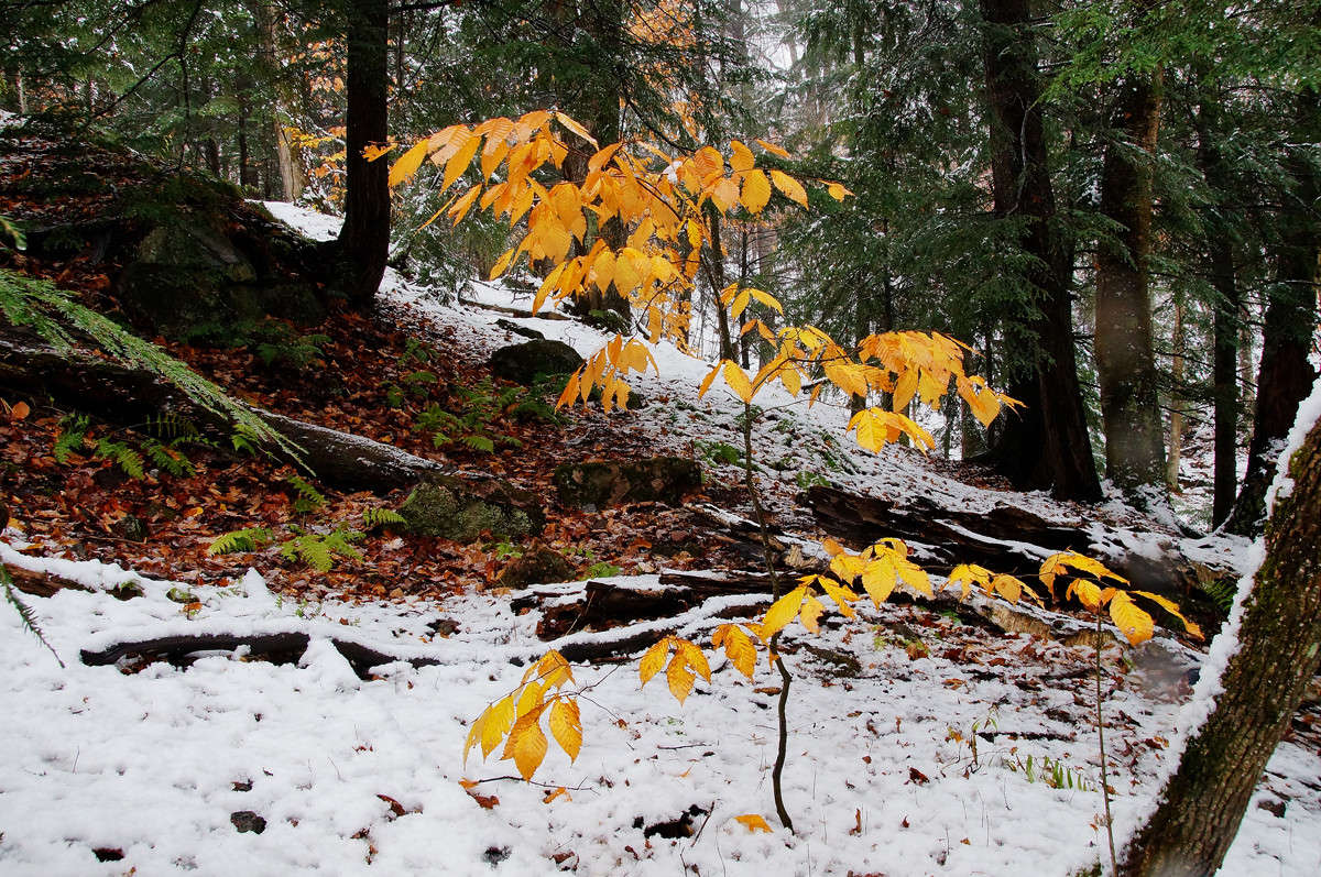 ����� ��������� ����� �������  �� PhotoGeek.ru #������ ��� �������