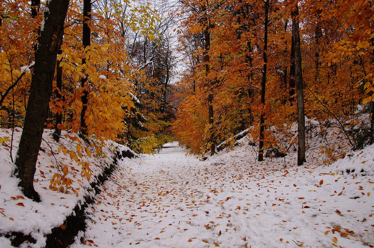������� ������� ����� �������  �� PhotoGeek.ru #������ ��� �������