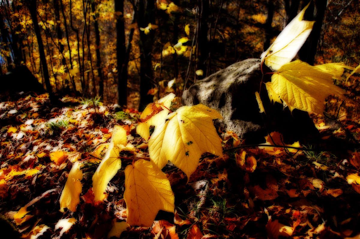 ������������� ����� �������  �� PhotoGeek.ru #������ ��� �������