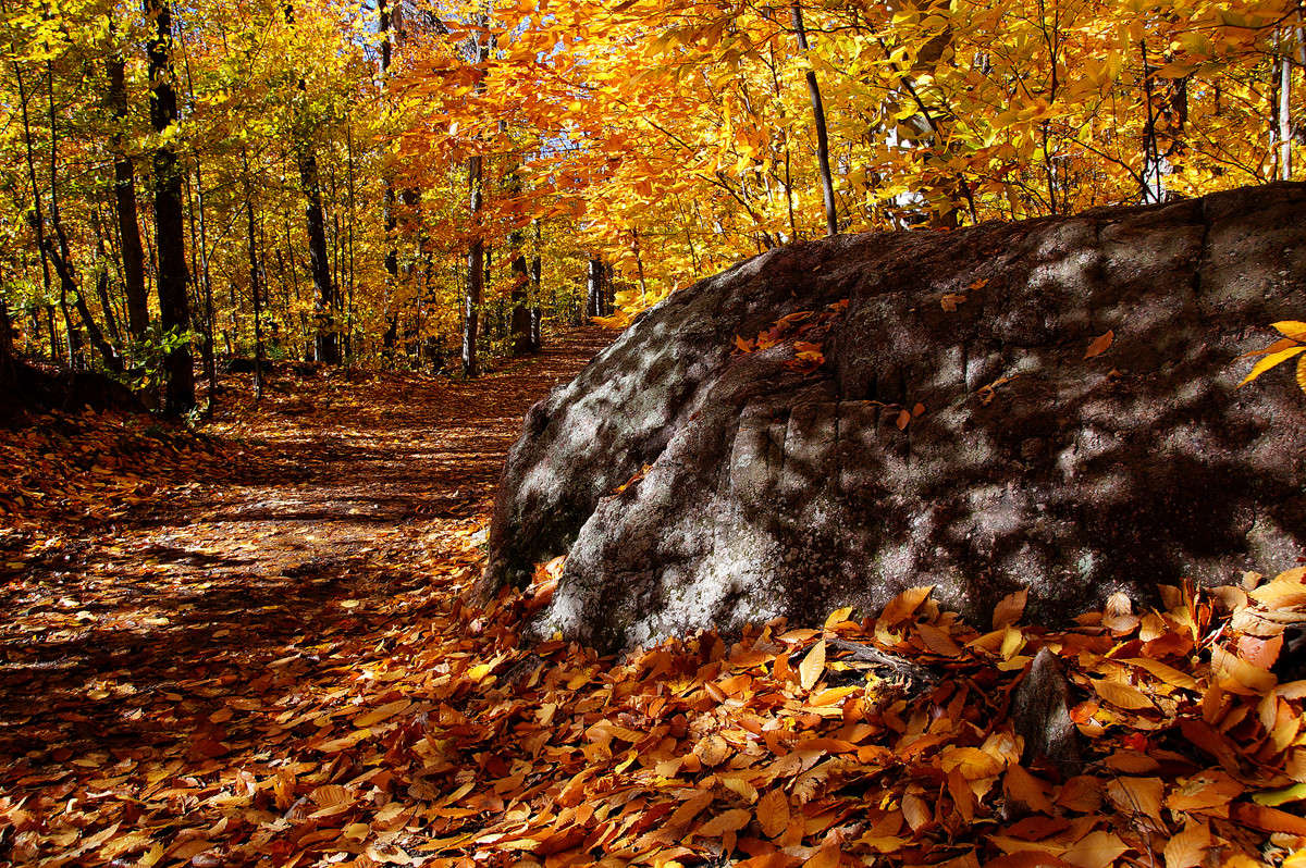 �������� ��� ����� �������  �� PhotoGeek.ru #������ ��� �������