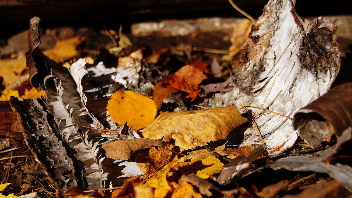 ���������� ����� �������  �� PhotoGeek.ru #������ ��� �������