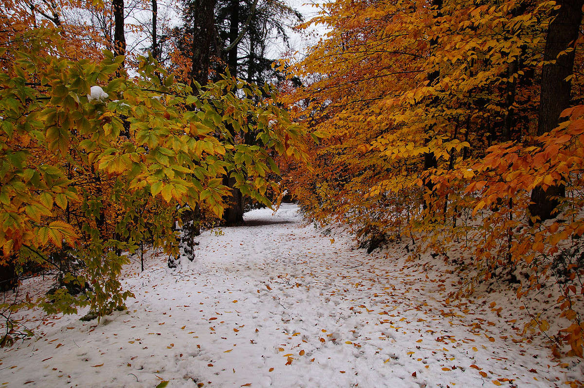 ����� ������ ����� �������  �� PhotoGeek.ru #������ ��� �������