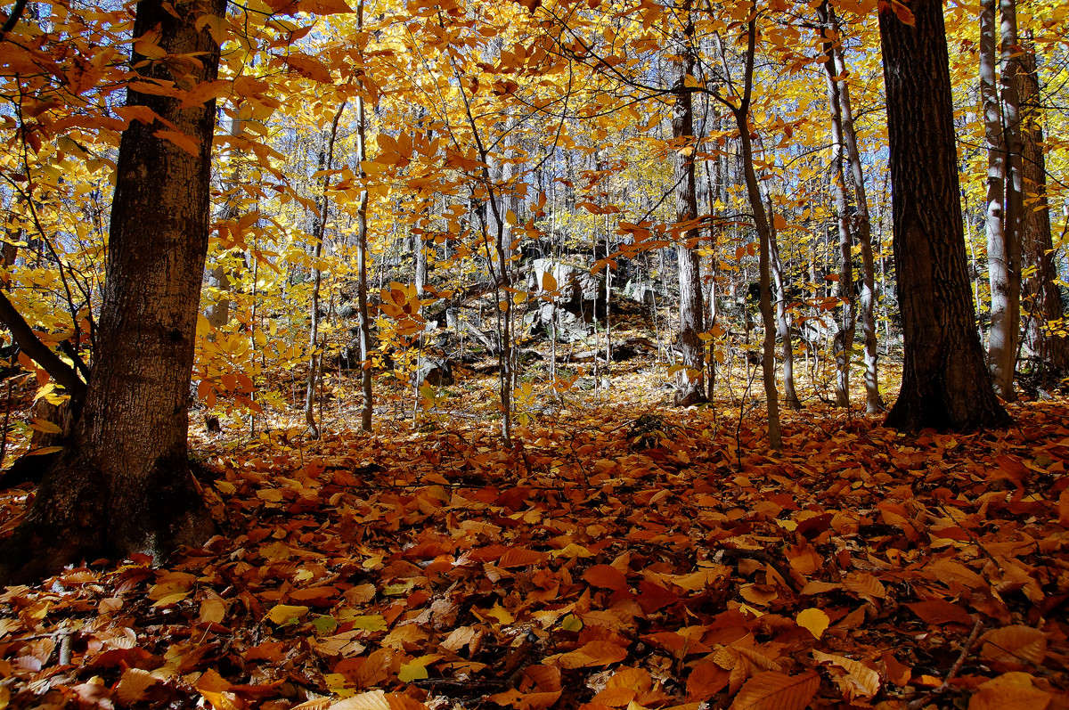 ������� ������ �������� ����� �������  �� PhotoGeek.ru #������ ��� �������