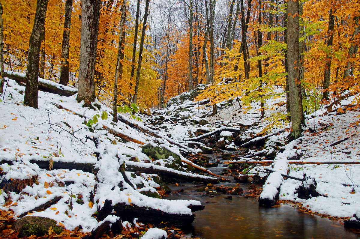 ������� ����� �������  �� PhotoGeek.ru #������ ��� �������