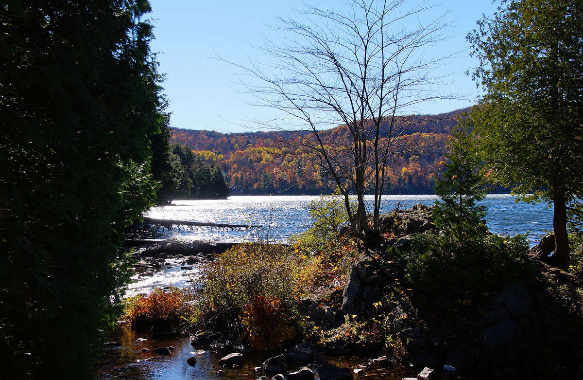 ������� ����� �������  �� PhotoGeek.ru #������ ��� �������