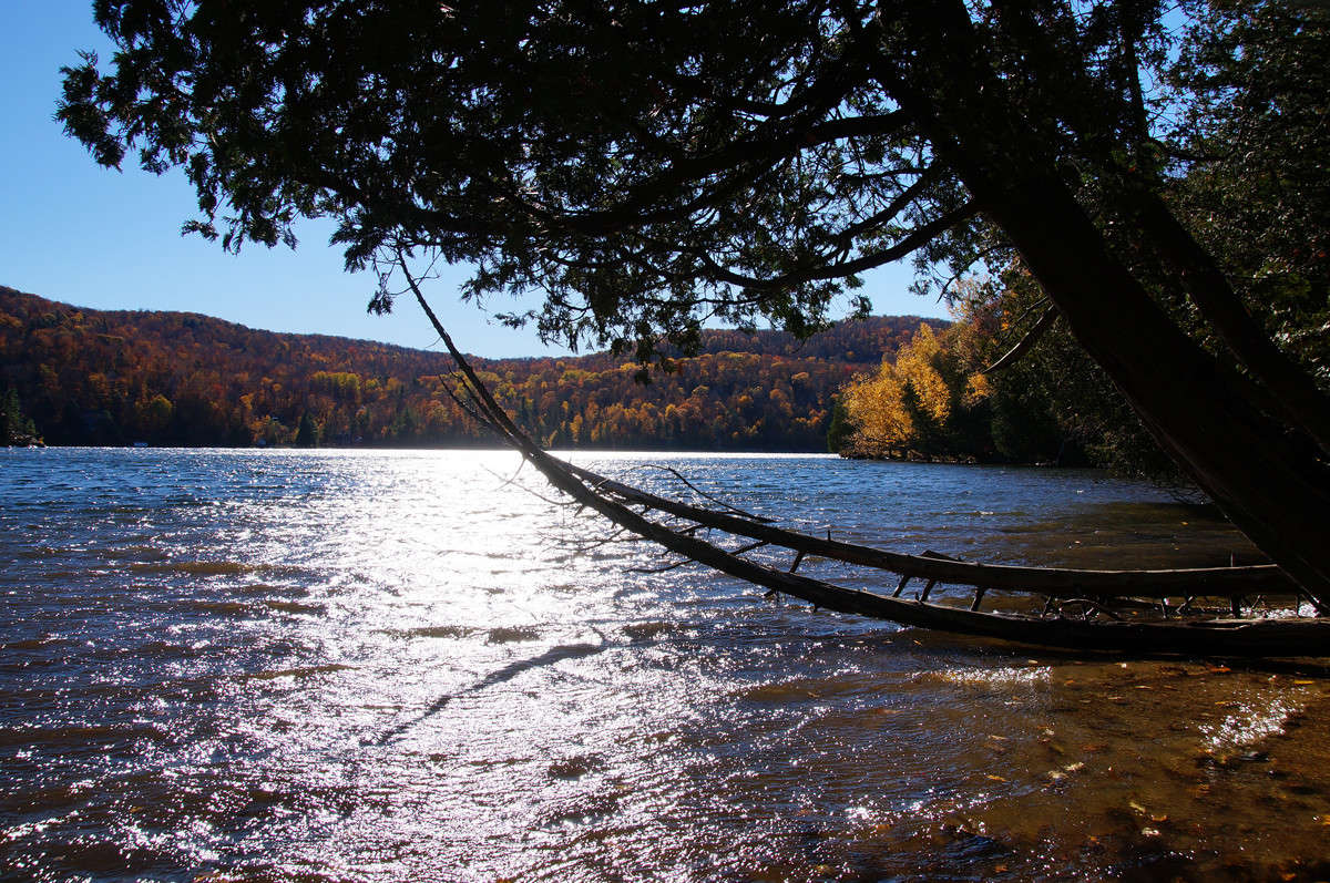 ������ ������ � �����������! ����� �������  �� PhotoGeek.ru #������ ��� �������