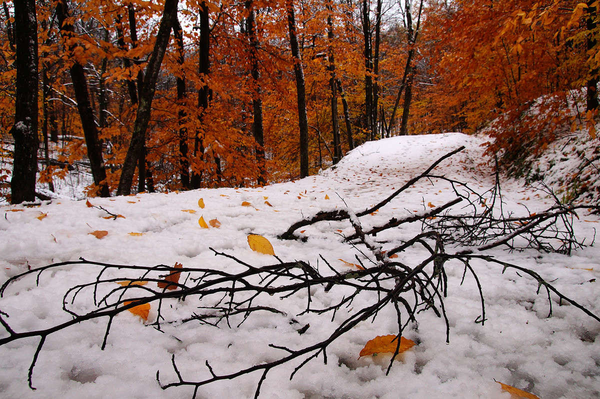 ����� ��������... ����� �������  �� PhotoGeek.ru #������ ��� �������