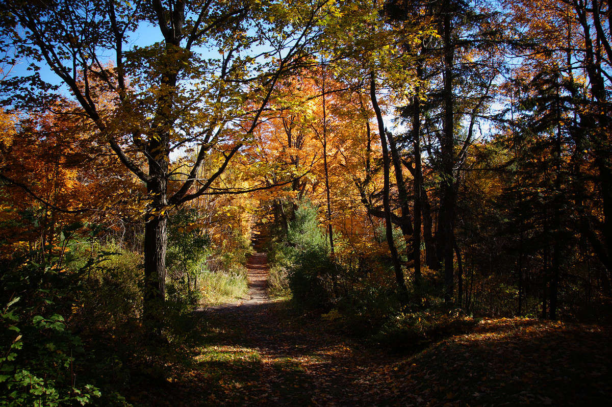 ������������� ����� �������  �� PhotoGeek.ru #������ ��� �������