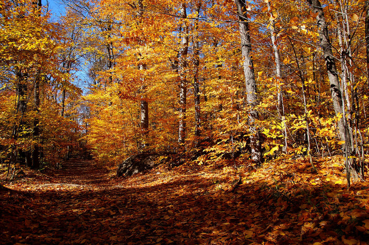 ������� ������� ����� �������  �� PhotoGeek.ru #������ ��� �������