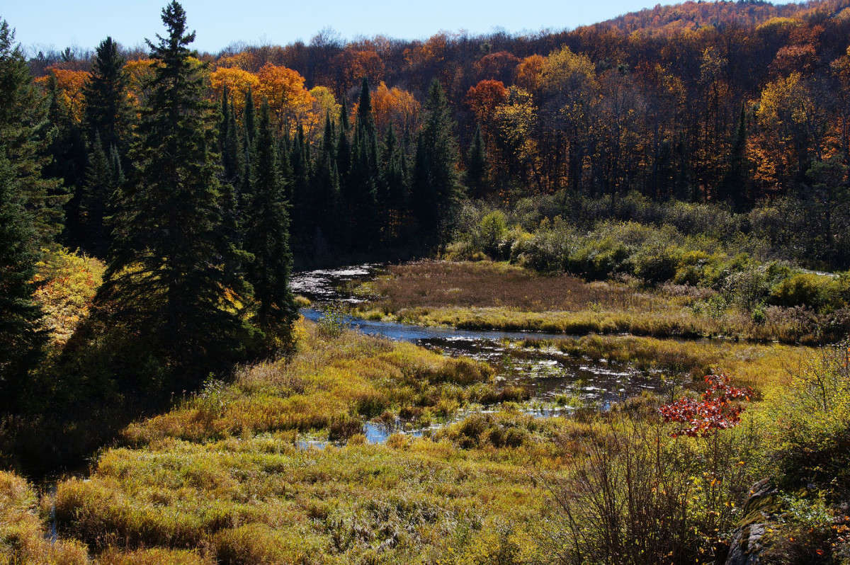 ������������ ����� �������  �� PhotoGeek.ru #������ ��� �������