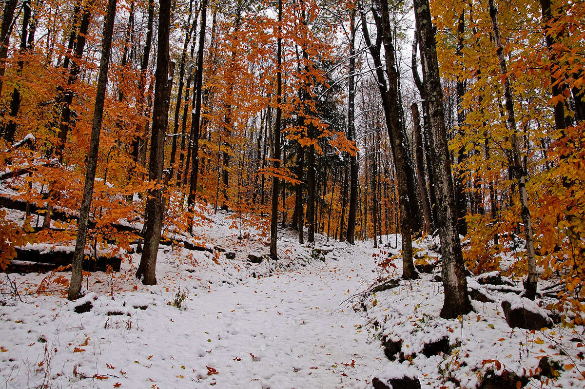 ���� ����� ������� ����� �������  �� PhotoGeek.ru #������ ��� �������