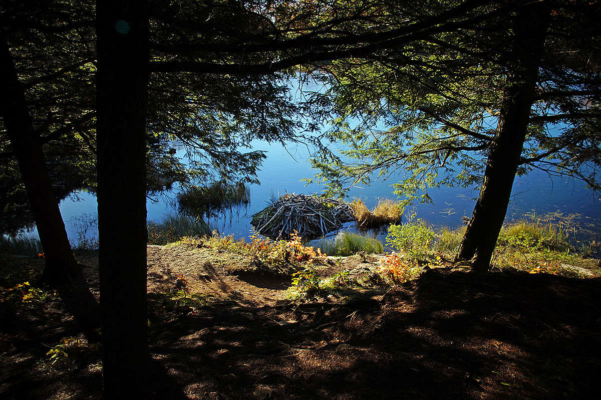 ����������� � ����� ����� �������  �� PhotoGeek.ru #������ ��� �������