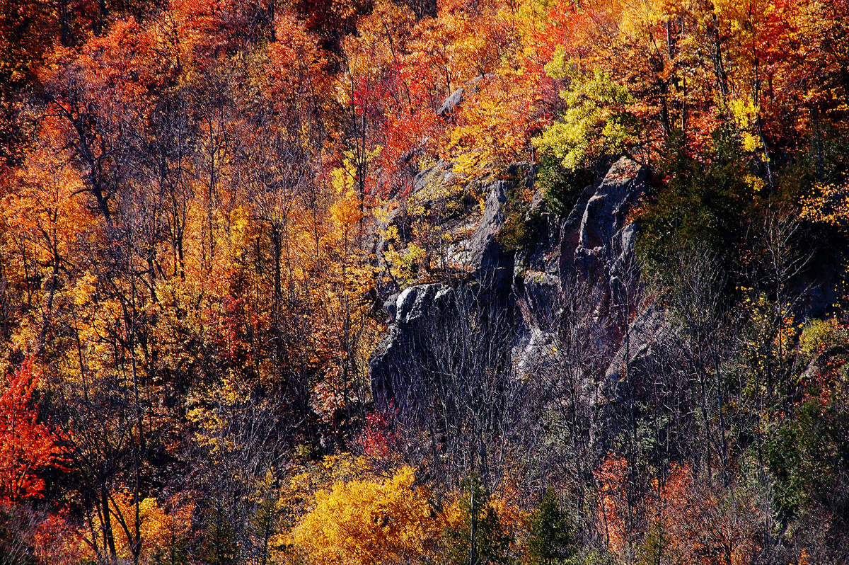 ��������� ����� �������  �� PhotoGeek.ru #������ ��� �������