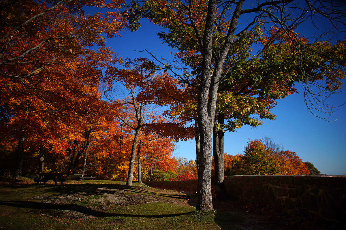 �������� ������ ����� �������  �� PhotoGeek.ru #������ ��� �������