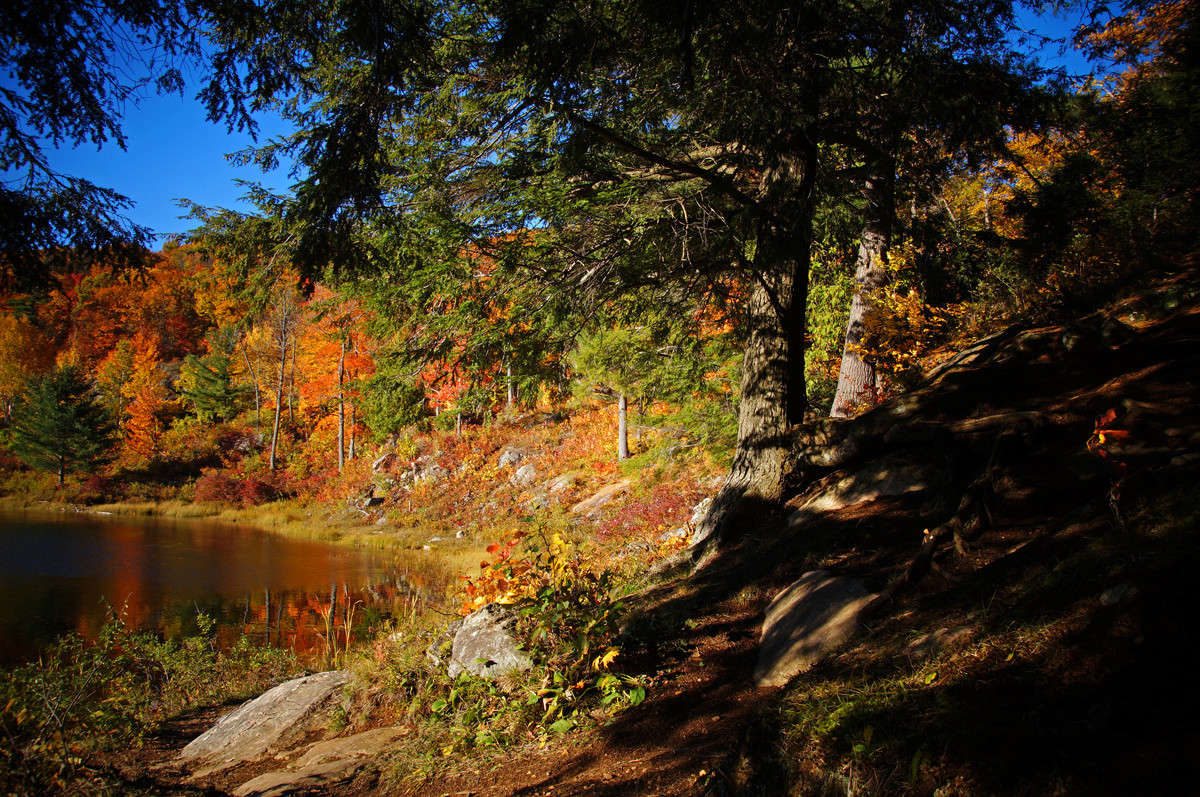 ���������� ����� �������  �� PhotoGeek.ru #������ ��� �������