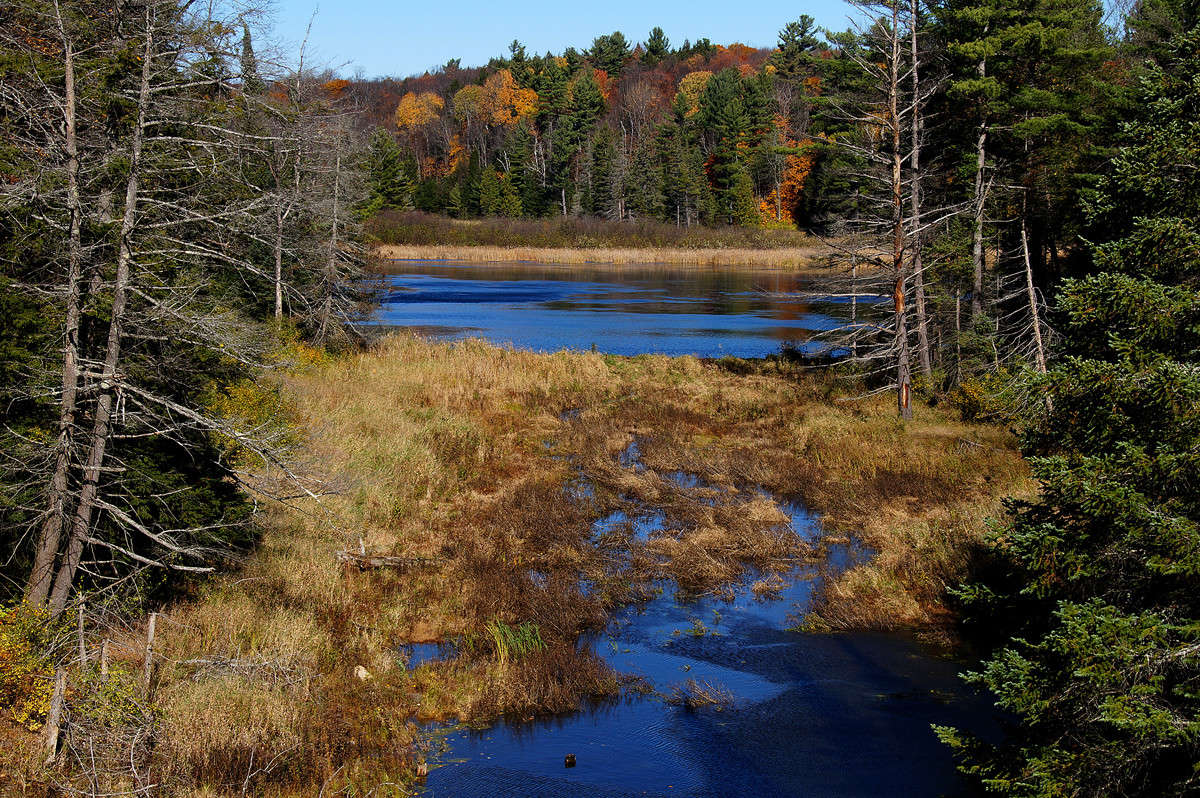 �����-����� ���� ����� �������  �� PhotoGeek.ru #������ ��� �������