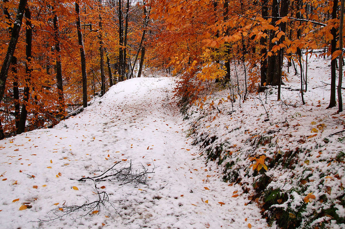 ������ ���� ����� �������  �� PhotoGeek.ru #������ ��� �������