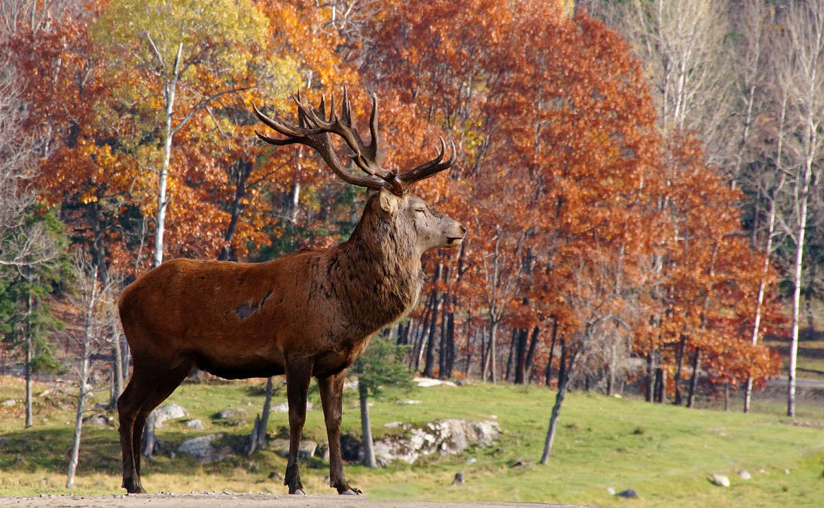 � ����� - ���! ����� �������  �� PhotoGeek.ru #�������� ���