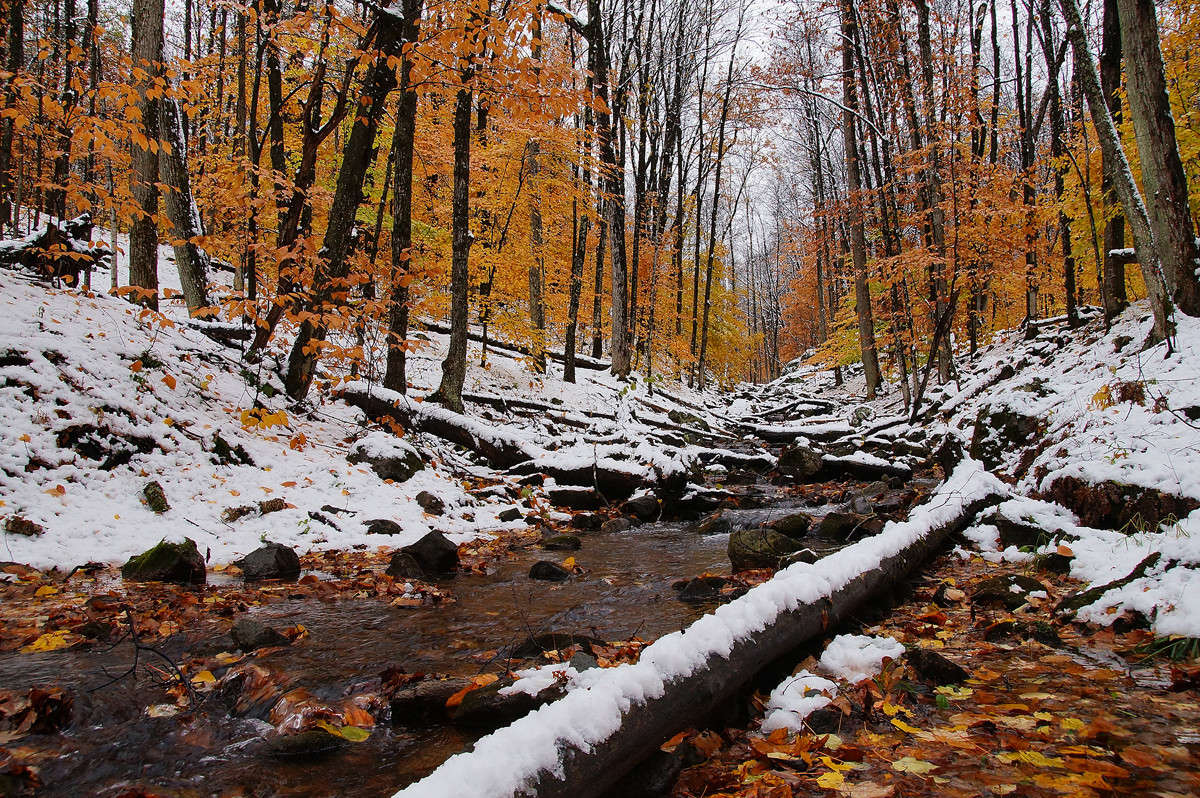 ������ �������� ����� �������  �� PhotoGeek.ru #������ ��� �������