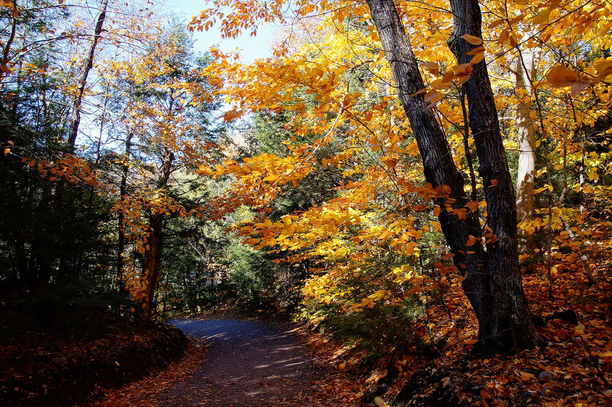 ����� ����� ��� ����� ����� �������  �� PhotoGeek.ru #������ ��� �������