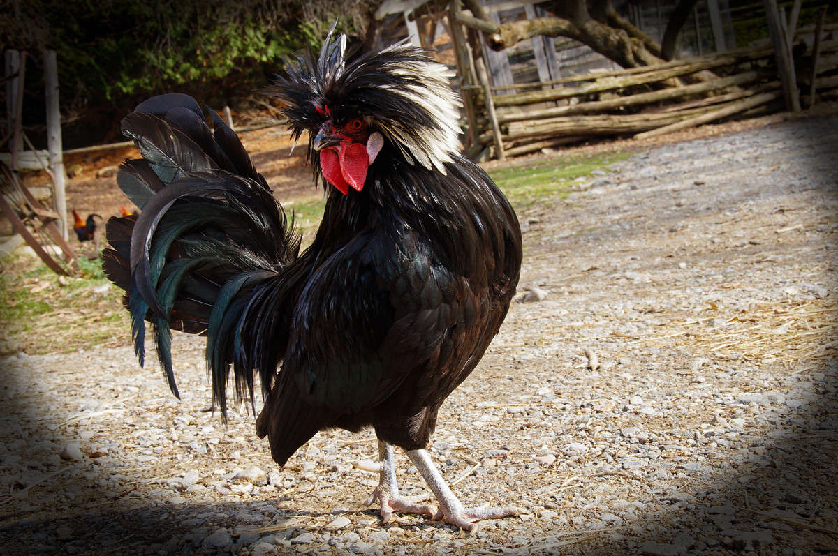 ���������� ����� �������  �� PhotoGeek.ru #�������� ���