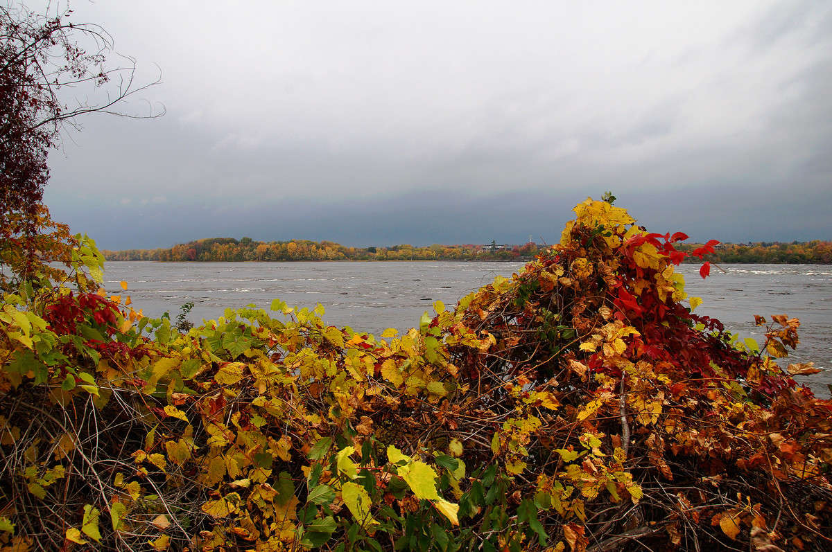 �������� ����� �������  �� PhotoGeek.ru #������ ��� �������