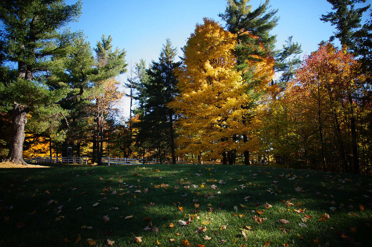 �������� ������ ����� �������  �� PhotoGeek.ru #������ ��� �������